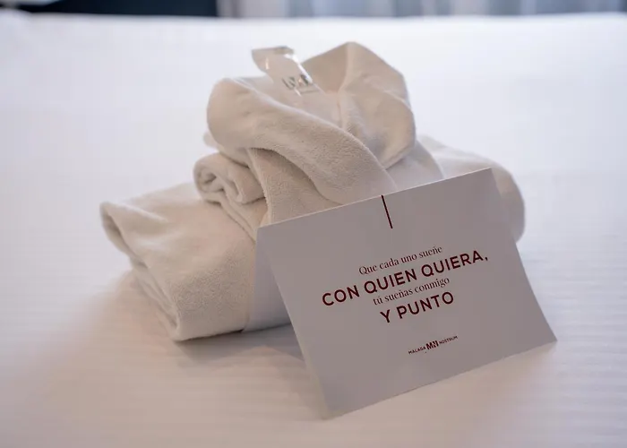 Hotel Nostrum Airport 3*